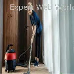 Effective Ways to Handle Water Damage & Mould in carpets